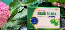 Viên bổ não GINKO BILOBA EXTRACT