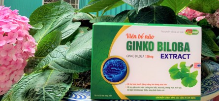 Viên bổ não GINKO BILOBA EXTRACT